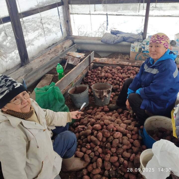 декада5